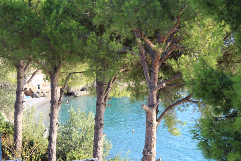 Avia Holiday Homes Rom bilde